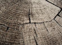 Ibiza Tree Grå - Dörrmatta - K/M Carpets | Mattfabriken