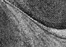 Brilliance Volante Grå - Gångmatta - K/M Carpets | Mattfabriken